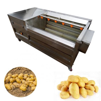 Brush Roller Type Washing Machine / Carrot Cleaning Machine